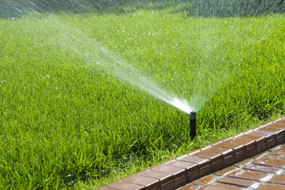 Our Daly City Sprinkler Systems Team Suggest Installing a Pop Up Sprinkler System to Save Time and Money